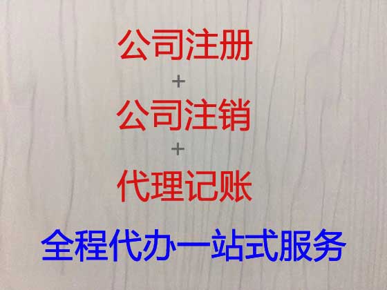 肥东县公司个体户注册-公司减资变更